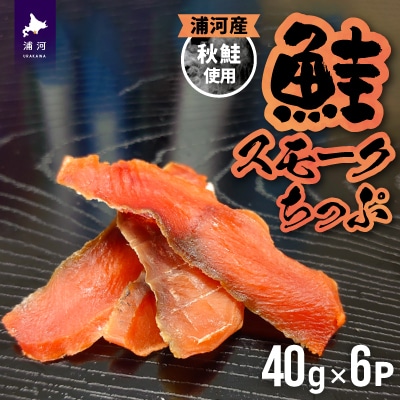 北海道日高産 さけスモークちっぷ(40g×6P)[25-1289]