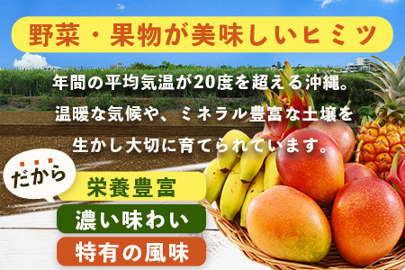 【4回定期便】沖縄県 石垣島の野菜・フルーツBOX ≪野菜4～5種類、フルーツ1~2種類≫（1箱×4回）じょーとーまーさん(とても美味しい) 石垣島の野菜とフルーツの詰め合わせセットをお楽しみください