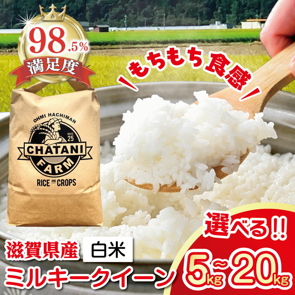 【ふるさと納税】【PRキャンペーン対象】 令和7年産 近江米　ミルキークイーン 白米 5kg / 10kg / 20kg 選べる 茶谷ファーム 滋賀県産