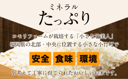 【6か月定期便】令和5年産 小さな竹美人 精米 4kg(2kg×2袋) 白米 株式会社コモリファーム《お申込み月の翌月から出荷開始》