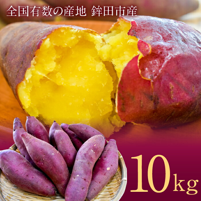 【ふるさと納税】さつまいも5kg×2箱