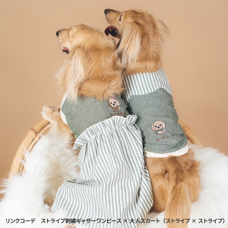 【ふるさと納税】 リンクコーデ　ストライプ刺繍ギャザーワンピース×大人スカート（ストライプ×ストライプ）【 わんちゃん お名前 刺繍 ドッグウェア マフラー プードル マルチーズ シュナウザー ダックス ペキニーズ チワワ キャバリア ビションフリーゼ 送料無料 】
