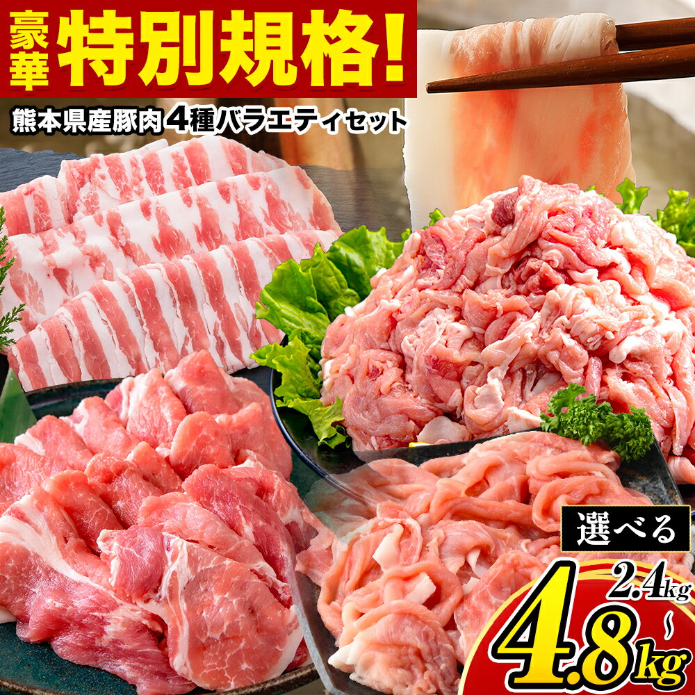 【ふるさと納税】豚肉 ひごの ポーク バラエティ セット 2.4kg 4.8kg 豚肉 しゃぶしゃぶ 切り落とし 豚ロース バラ 豚バラ スライス 以上 定期便 真空 お楽しみセット 不揃い 数量限定 簡易包装 冷凍配送 小分け 《10月頃出荷予定》 豚肉