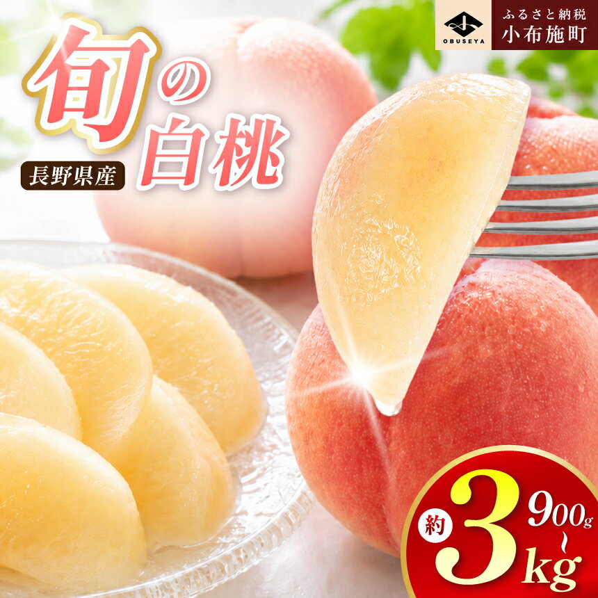 【ふるさと納税】 先行予約 桃 厳選 旬の白桃 約900g 約2kg 約3kg 選べる 内容量 ［小布施屋］ 長野県産 白桃 もも モモ フルーツ 果物 長野県産 信州産 クール便 冷蔵便 たまき なつき あかつき 川中島白鳳 川中島白桃など 令和8年産 【2026年7月上旬～9月中旬発送】