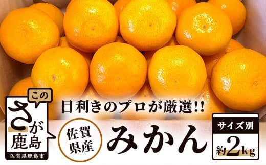 
            【予約受付】AA-38【目利きのプロが厳選】佐賀県産みかん　約2kg（サイズ別）
          