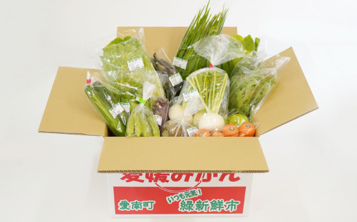 
取りたて新鮮！旬の野菜詰め合わせセット
