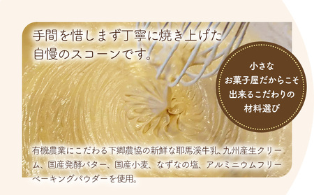 国産発酵バター仕込み濃厚リッチな九州産生クリームスコーン クルミチョコ7個セット | お菓子 菓子 おかし 洋菓子 焼き菓子 イギリス菓子 チョコスコーン クルミ おやつ デザート スイーツ 手作り 