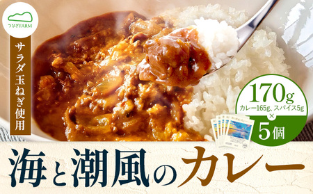 カレー 海潮 5個 カレー