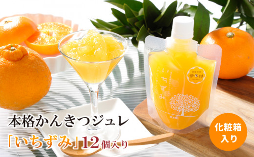 本格かんきつジュレ「いちずみ」 12個入り ( あいか･せとか入り )【化粧箱入り】約2kg (170g×12個) | ゼリー 柑橘ゼリー 柑橘ジュレ みかん スイーツ 愛果 せとか 2kg 以上 愛媛県 松山市 ココオ Koko'o