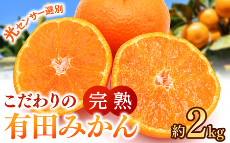 こだわりの 有田 みかん 2kg 【ご家庭用】※北海道・沖縄・離島配送不可 ※2026年11月発送予定【nuk004-c-2-novH】 