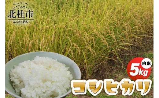 【令和7年度新米】コシヒカリ白米5kg 米 こめ 1袋 ブランド米 モミで保存 精米 香り 甘い 粘り 山梨県 北杜市