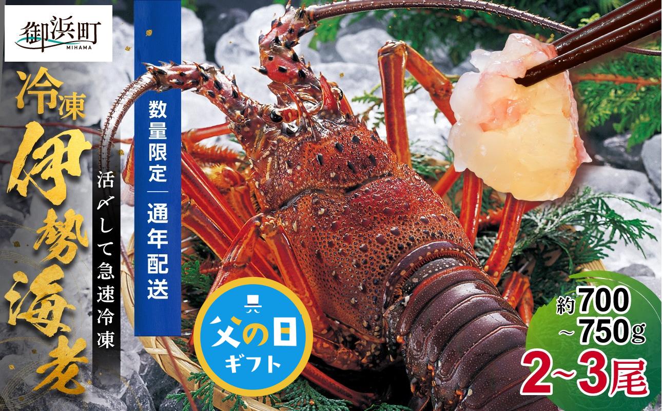 
                  【父の日ギフトに《 6月19～21日にお届けします！ 》 】［日付指定ができる！］文恵丸水産の熊野灘産活〆急速冷凍伊勢海老　梅 2～3尾 約700～750g【要日時指定配達 急速冷凍 魚介 プロトン 伊勢海老 伊勢えび 海老 えび 三重県 御浜町 冷凍】
                