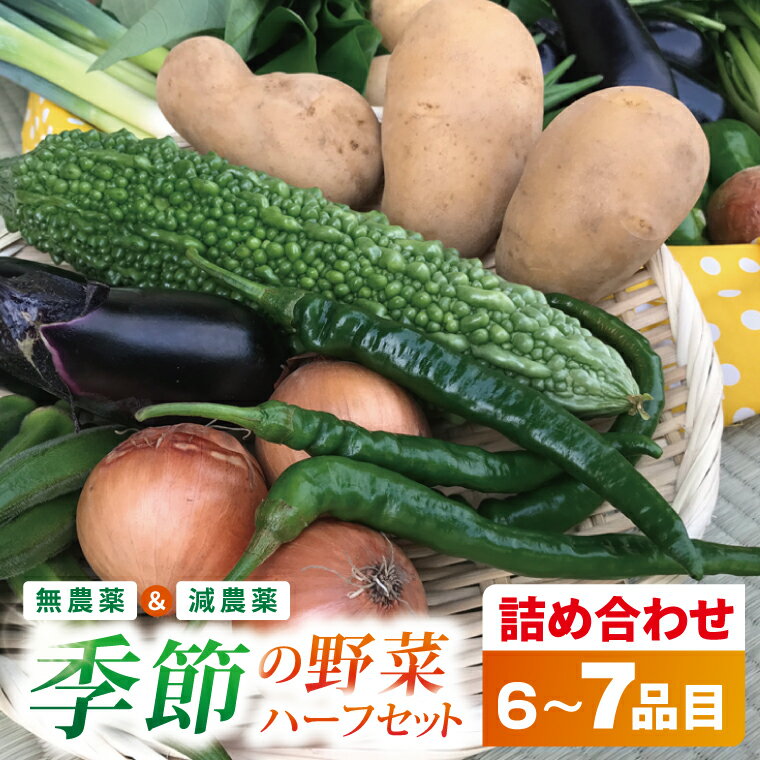 【ふるさと納税】身体が喜ぶ季節の野菜ハーフセット(6～7品)｜野菜 やさい 野菜セット セット 詰め合わせ おまかせ 茨城県 行方市(BI-107)
