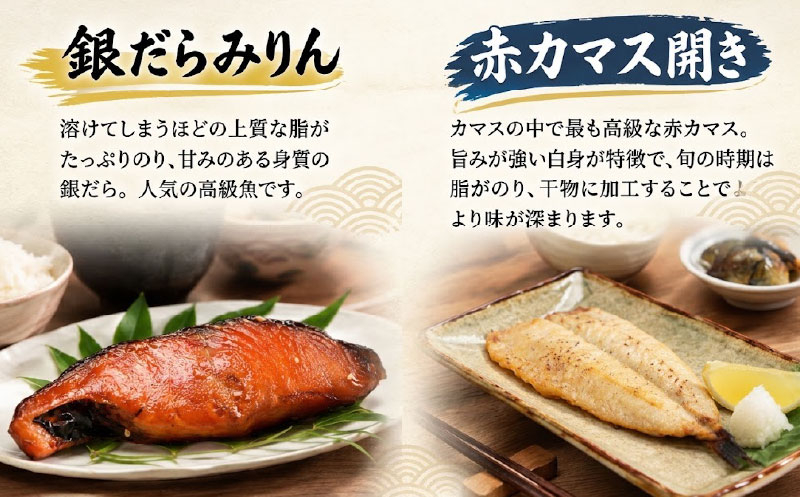 [TD005］ 長崎 ひもの セレクト 極 6種 詰め合わせ 銀ダラ 銀鱈 干物セット 金目鯛 ワイン仕込みさば かます あじ 魚介類 海鮮 魚 干物 津田水産 冷凍 国産 長崎県 佐世保
