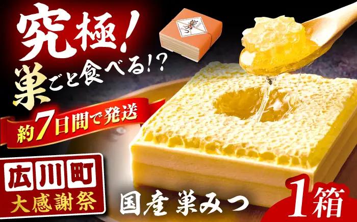 はちみつ 国産 巣みつ 300g ｜ハチミツ [AFAI004-CP] 蜂蜜