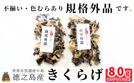 《訳あり》安心・安全 徳之島産きくらげ（規格外品）80g（40g×2袋） ( キクラゲ きのこ キノコ 野菜 ワケあり 徳之島 奄美 国産 数量限定 レターパックライト配送 ポストイン )