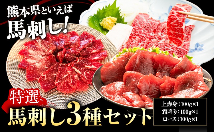
            特選馬刺しセットB 合計300g 3種類 セット 霜降り100g 上赤身100g ロース100g《90日以内に出荷予定(土日祝除く)》熊本県 菊池市 馬肉 馬刺し 食べ比べ セット 詰め合わせ ブロック 冷凍 送料無料
          