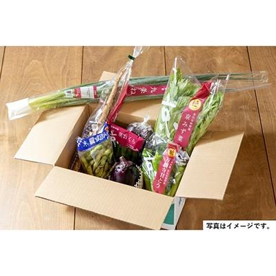 ふるさと納税 京都市 <2回　定期便>【JA全農京都】半年に1回配送!季節の京野菜セット |  | 02