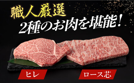 【12回定期便】 長崎和牛2種 ステーキ食べ比べ [DBK005] お肉 定期便 12回