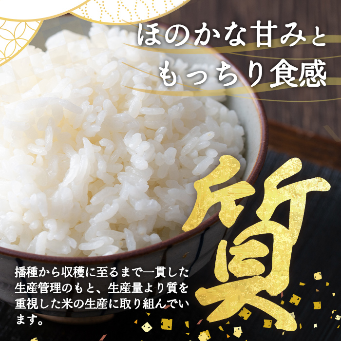 令和7年産 コシヒカリ 【 精米 】 1合｜  米 お米 令和7年産 厳選 特A コシヒカリ 白米 1合 静岡県産 国産 すぐ 届く スピード発送