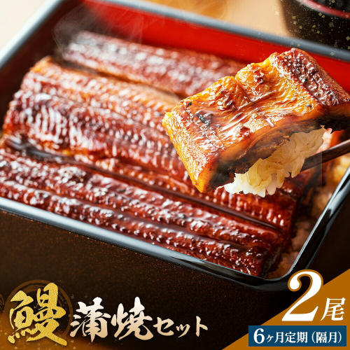 【隔月6回定期便】鰻 うなぎ 蒲焼き 2尾 (1尾約140g) タレ 山椒 付き 株式会社薩摩川内鰻《お申込みの翌月出荷》鹿児島県 さつま町 送料無料 ウナギ 蒲焼 かば焼き 丑の日 うなぎ お取り寄