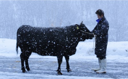 尾花沢牛肉まつり すき焼き・しゃぶしゃぶセット モモ・カタ・肩ロース 雪降り和牛尾花沢880g 　(雪降り和牛 すき焼き 尾花沢牛 すき焼き 山形牛 すき焼き 和牛 すき焼き 黒毛和牛 すき焼き 肩ロ