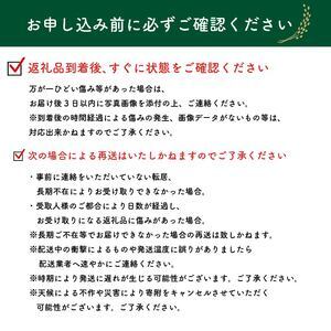 【 令和7年度産 】 お米 5kg にこまる 