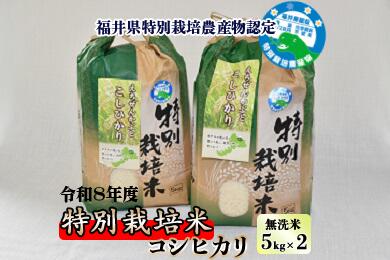 【ふるさと納税】【先行予約】令和8年産 特別栽培米コシヒカリ 5kg ×2袋（無洗米） 【2026年9月29日より順次発送】 | 新米 米 特別栽培米 コシヒカリ 無洗米 5kg 2袋 送料無料