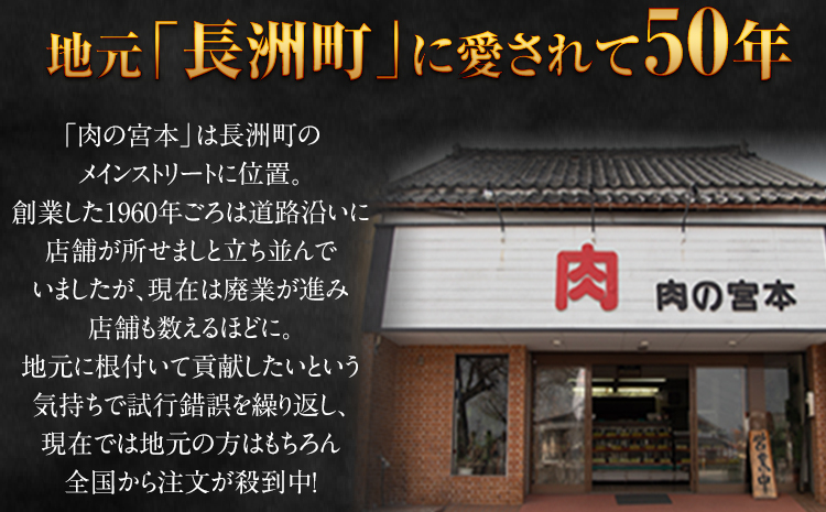 馬肉入り手作りハンバーグ(約150g×9個) 《45日以内に出荷予定(土日祝除く)》 馬肉ハンバーグ　肉の宮本