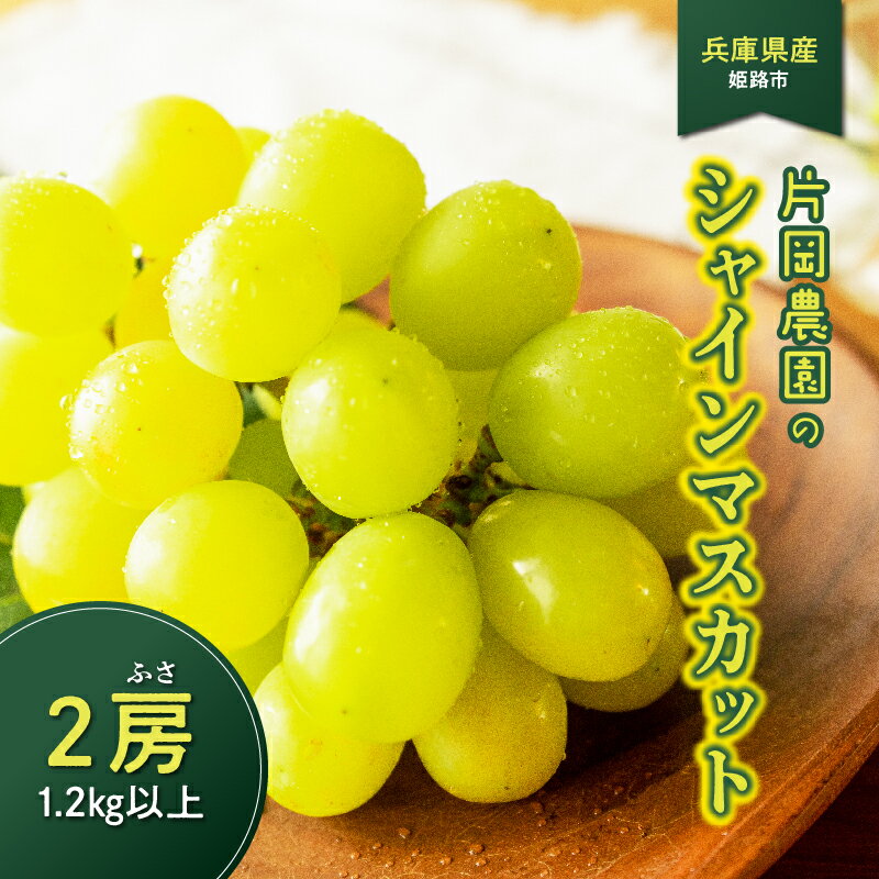 【ふるさと納税】【先行予約】 シャインマスカット 片岡農園 2房 1.2kg以上 兵庫県産【 2025年9月中旬より順次発送 】 【 マスカット シャインマスカット 朝採り 農園直送 みずみずしい 甘い フルーツ 果物 スイーツ すっきり 】