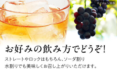 果実酒 ピオーネの雫 500ml×2本 ピオーネ リキュール 甘口 三次ワイナリー [APAZ115] お酒
