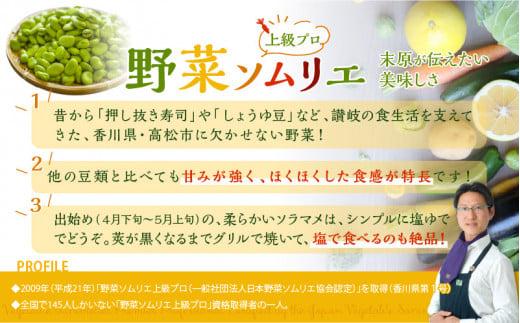 旬の味覚 そらまめ 約4kg【2025年4月下旬～2025年5月下旬配送】