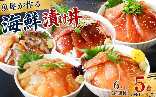 【6ヶ月 定期便】漬け丼 5種×1パック 計5食セット  | 漬け丼 定期便 海鮮 惣菜 冷凍 真空パック 小分け 海鮮丼 海鮮セット 詰め合わせ 旬の鮮魚 ハマチ カンパチ カツオ 鯖 サバ ヒラマサ 平政 マグロ アジ ヒラメ 鯛 漬け づけ丼 お茶漬け ごはん 山口県 宇部市