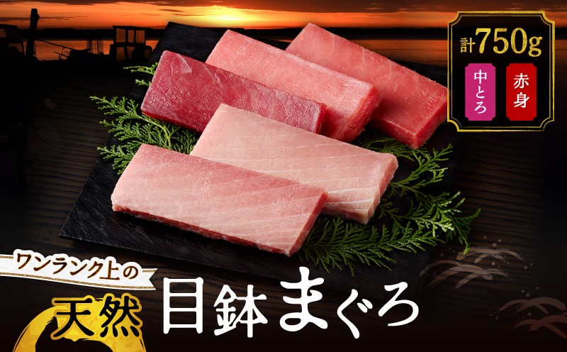 
            ワンランク上の天然目鉢鮪中とろ・赤身セット 750g　M024-003
          