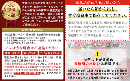 栃木いちごとちあいか2パック