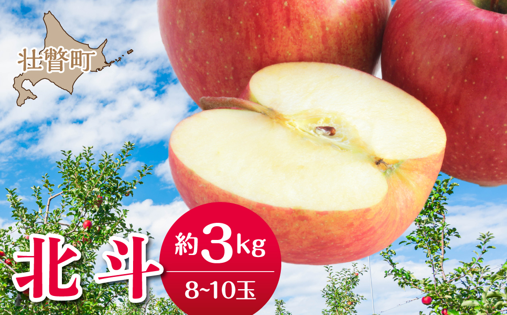 【先行予約】＜2026年11月中旬よりお届け＞北海道壮瞥町　りんご　品種名「北斗」8～10玉約3kg SBTF022