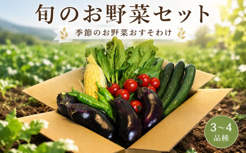 
                  季節の野菜 詰め合わせ 3～４品 新鮮 食べきり 旬 野菜 やさい サラダ 農家 直送 採れたて 送料無料 徳島県 三好市 みよし 白地 吉野川 フレッシュ
                