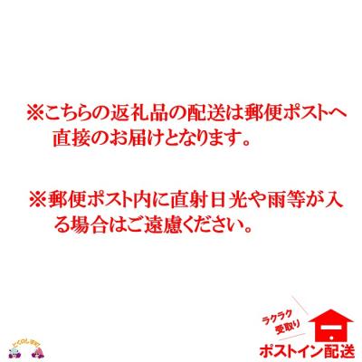ふるさと納税 徳之島町 〜島の母(あま)の手作り〜徳之島のパパイヤ漬け(しょうゆ味)2袋【ポストイン配送】 |  | 03