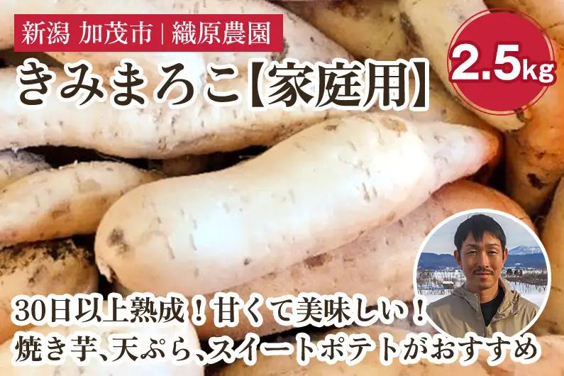 【家庭用】新潟県 加茂市産 きみまろこ 2.5kg 《11月上旬～順次発送》 さつまいも サツマイモ 熟成 甘い 芋 焼き芋 天ぷら スイートポテトに！ 加茂市 織原農園 