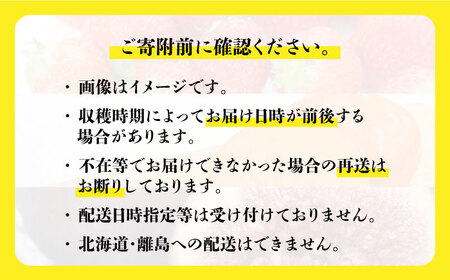 【全3回定期便】九州・福岡もぎたて フルーツ定期便 C＜一般社団法人地域商社ふるさぽ＞那珂川市 定期便 フルーツ定期便 あまおう定期便 苺 あまおう  いちご フルーツ 柿 いちじく イチジク 果物 