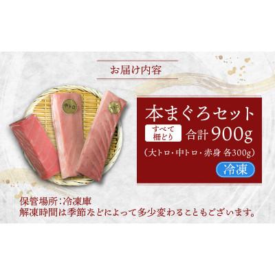 ふるさと納税 福井市 【最新鋭の冷凍技術 刺身用】本まぐろセット大トロ300g+中トロ300g+赤身300g(柵どり) |  | 03