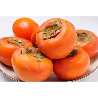 ふるさと納税 つくばみらい市 【先行予約】お歳暮のし付き　桐箱入り　富有柿　12個　茨城県共通返礼品:大子町産