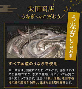 国産うなぎ蒲焼（5本）タレ付き /  和歌山 田辺市 国産 国産うなぎ 国産鰻 うなぎ 鰻 鰻丼 うな丼 土用の丑の日  【ots018】