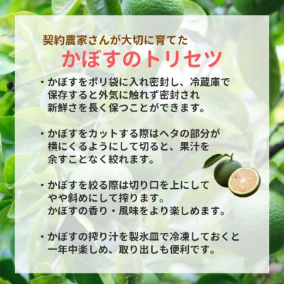 ふるさと納税 日出町 大分むぎ焼酎　二階堂20度(900ml)6本と大分県産かぼす(B級品)4kgセット【複数個口で配送】 |  | 02