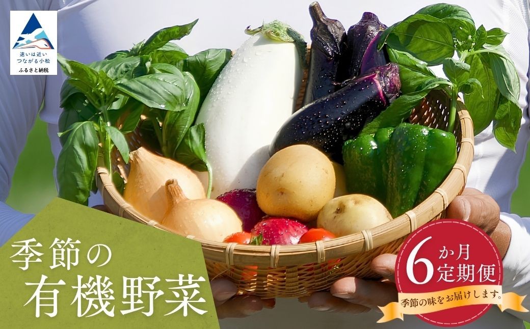 
                  【有機野菜 定期便】西田農園 季節の有機野菜詰合せ 6ヶ月 定期便 旬のオーガニック野菜詰め合わせ セット オーガニック野菜 6回 6ヵ月
                