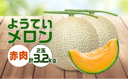 
北海道 赤肉メロン 約1.6kg 2玉 メロン 赤肉 果物 フルーツ 甘い 完熟 スイーツ デザート 産直 国産 贈答品 お祝い ギフト羊蹄山 JAようてい 送料無料 北海道 倶知安町
