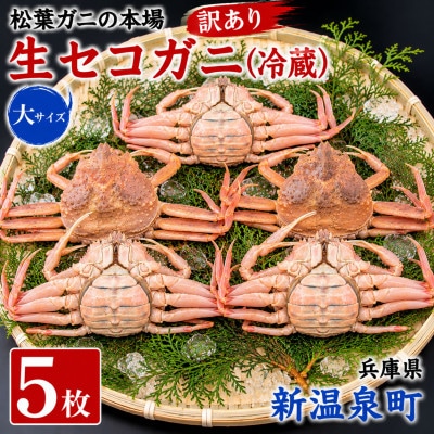 松葉ガニの本場　訳あり・生セコガニ(冷蔵)大サイズ　5枚　兵庫県新温泉町　ご家庭で茹でてアツアツを【配送不可地域：離島・北海道・沖縄県・東北】