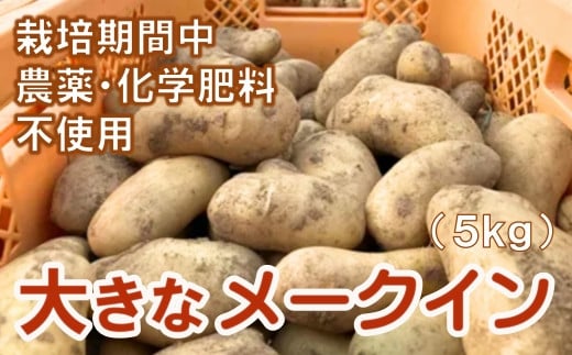 
【栽培期間中農薬化学肥料不使用】大きなメークイン（5kg）
