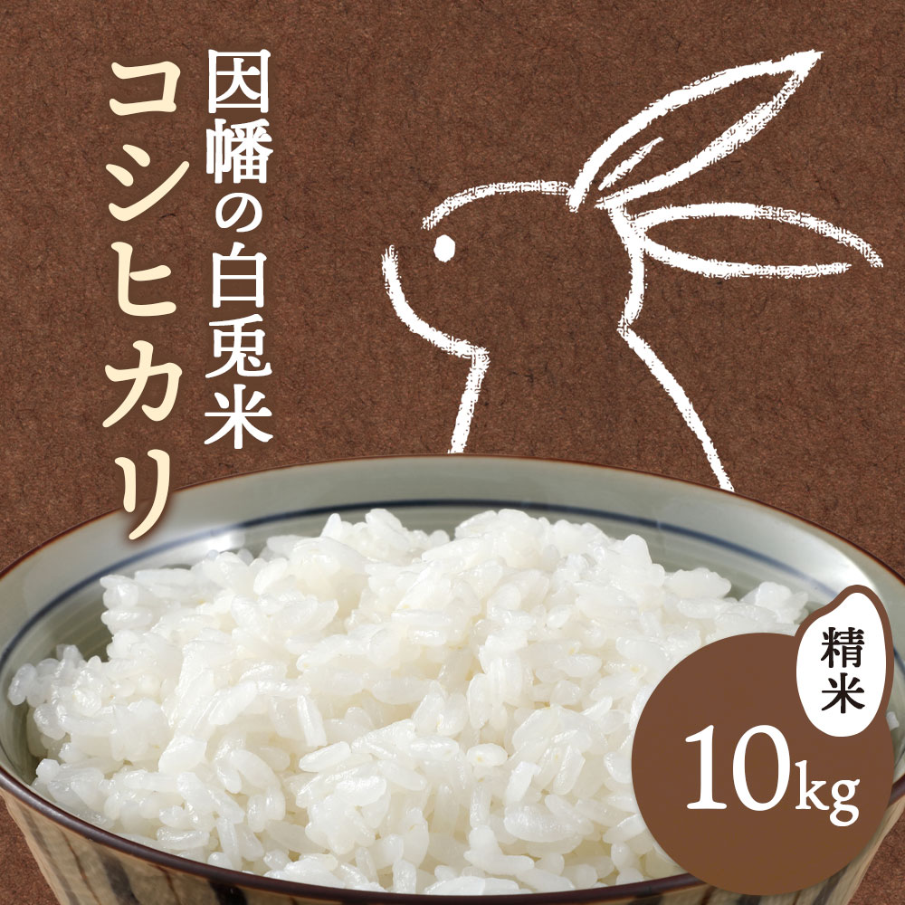 【ふるさと納税】因幡の白兎米 コシヒカリ 令和7年度産 精米済 10kg（5kg×2袋）さんチョク《30日以内に出荷予定(土日祝除く)》鳥取県 八頭町 米 お米 白米 ご飯