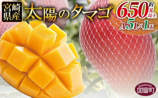 数量限定【2026年発送】＜宮崎県産 太陽のタマゴ A等級 A5Lサイズ×1玉（約650g以上）＞2026年4月上旬～6月末迄に順次出荷【 太陽のタマゴ 完熟マンゴー 完熟 マンゴー フルーツ トロピカルフルーツ 果物 くだもの おいしい 美味しい 甘い あまい JAみやざき 国富町 宮崎県】